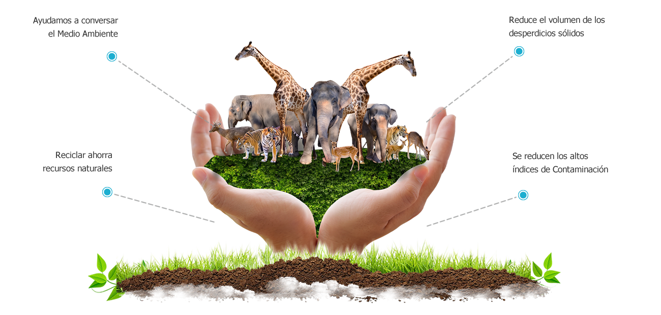 Beneficios de Reciclar
